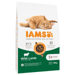 10kg adult agneau / poulet pro active health iams - croquettes pour chat