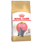 10kg kitten british shorthair royal canin croquettes pour chat