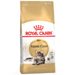 10kg maine coon royal canin croquettes pour chat
