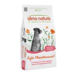12kg adult large saumon, riz almo nature holistic - croquettes pour chien