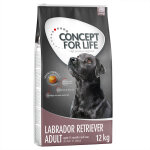 12kg labrador retriever adult concept for life - croquettes pour chien