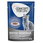 12x85g british shorthair adult concept for life - sachet pour chat