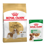 7, 5kg cavalier king charles adult breed royal canin croquettes pour chien + aliment humide : - 15 % ...