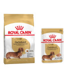 7, 5kg teckel adult breed royal canin croquettes pour chien + aliment humide : - 15 % !
