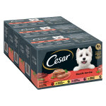 Cesar classics slection en terrine pour chien - terrines classiques (8 x 150 g)