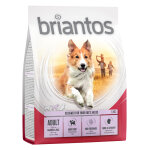 Testez - les ! croquettes briantos 1 kg pour chien - adult , saumon, riz