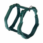 Harnais nomad tales blush, �meraude pour chien - taille xs : tour de poitrail 34 - 49 cm, l 15 mm