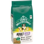 James wellbeloved adult hypoallergenic agneau, riz pour chien - 2 kg
