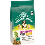 James wellbeloved superfoods grain free adult hypoallergenic dinde, chou vert, quinoa pour chien - 1, ...