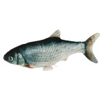 Jouet pour chats jumping fish de kerbl pet