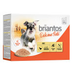 Lot briantos delicious pat 48 x 100 g pour chien - poulet