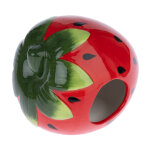 Maison en céramique tiaki fraise pour hamster et souris tiaki 15 x 15 x 10 cm Maison en céramique tiaki fraise pour hamster et souris tiaki 15 x 15 x 10 cm