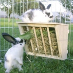 Mangeoire  foin avec plateforme pour rongeur et lapin l 25 x l 17 x h 20 cm