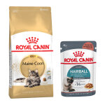 Pack bi - nutrition : croquettes + sachets royal canin - maine coon adult (4 kg) + sachets hairball care ...