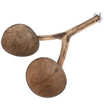 Perchoir tiaki avec gamelles en noix de coco 30 x 22 x 5cm, accessoire de cage pour oiseau Perchoir tiaki avec gamelles en noix de coco 30 x 22 x 5cm, accessoire de cage pour oiseau