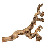Pied de vigne sabl pour terrarium trixie 40 60 cm