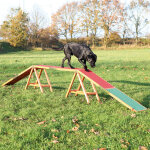 Rampe trixie dog activity agility l 456 x l 30 x h 64 cm - pour chien