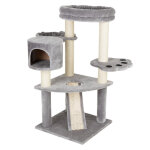 Tani�re d'ours arbre � chat - gris clair
