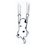 Tiaki autocollant de pare - chocs  chat qui griffe  16x5cm chat