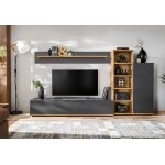 Asm ensemble meuble tv, placard et �tag�res en bois ? silk