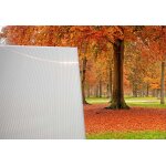 Dhaze plaque polycarbonate alvolaire transparent et opaque 32 mm - 1, 25 x 4 m (ds 10)