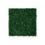 Greenmood cadre vgtal carr lichen khloe (pls dimensions)