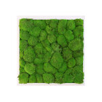 Greenmood cadre vgtal carr mousse boule kokoon (pls dimensions)