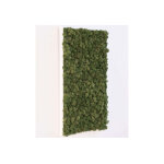 Greenmood cadre vgtal rectangulaire lichen khloe (pls dimensions)