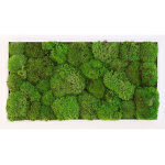 Greenmood cadre v�g�tal rectangulaire mousse boule kokoon (pls dimensions)