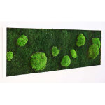 Greenmood cadre vgtal rectangulaire mousses island (pls dimensions)