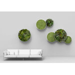 Greenmood dcoration murale vgtale ? 90, 5cm ? g - circle standard