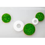 Greenmood d�coration murale v�g�tale cercle ? 110, 5 cm ? g - circle standard