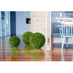 Greenmood plante stabilise sphre mousse (pls tailles)
