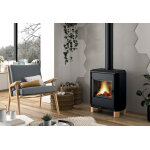 Invicta pole  bois en fonte double combustion carolo zen ? 8 kw