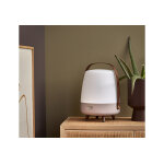 Kooduu lampe � poser avec enceinte bluetooth int�gr�e ? lite - up play