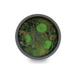 Naturall green cadre v�g�tal stabilis� elegance ? � 50 cm