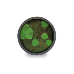 Naturall green cadre v�g�tal stabilis� moss ? � 50 cm