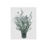 Naturall green plante stabilis�e eucalyptus en pot baby blue ? 70 cm