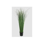Naturall green plante stabilise en pot gynerium ? 100 cm