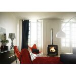 Pole  bois en fonte double combustion sedan l 12 kw - invicta