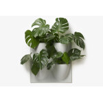 Verti copenhagen ensemble de pots de fleurs suspendus en biopolymre ? 4 pots