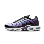Nike air max plus tn reverse grape Nike air max plus tn reverse grape