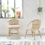 Lot de 2 fauteuils en rotin naturel