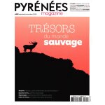 Pyrnes magazine