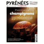 Pyrnes magazine