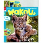 Wakou
