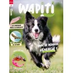 Wapiti