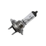 Ampoule flosser h7 12v 55w