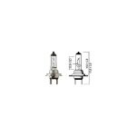 Ampoule flosser h7 12v 55w px25d