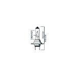 Ampoule h7 12v 55w px26d brazoline